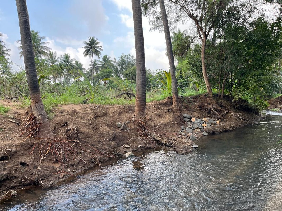 Natural mountain stream flowing beside coconut trees at Marutham Villa farm boundary