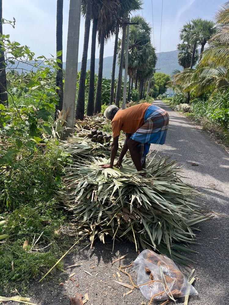 Malaival Makkal tribal community member working on the hillside road